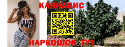 прущие крисы Заводоуковск