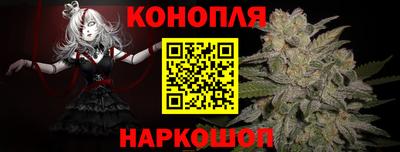 прущие крисы Заводоуковск