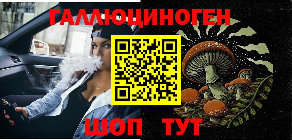 Псилоцибиновые грибы Psilocybine cubensis Тутаев